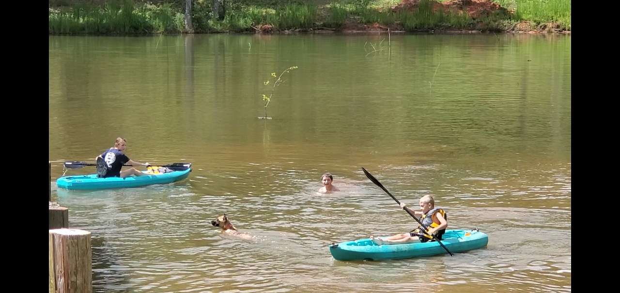Back Forty Camping