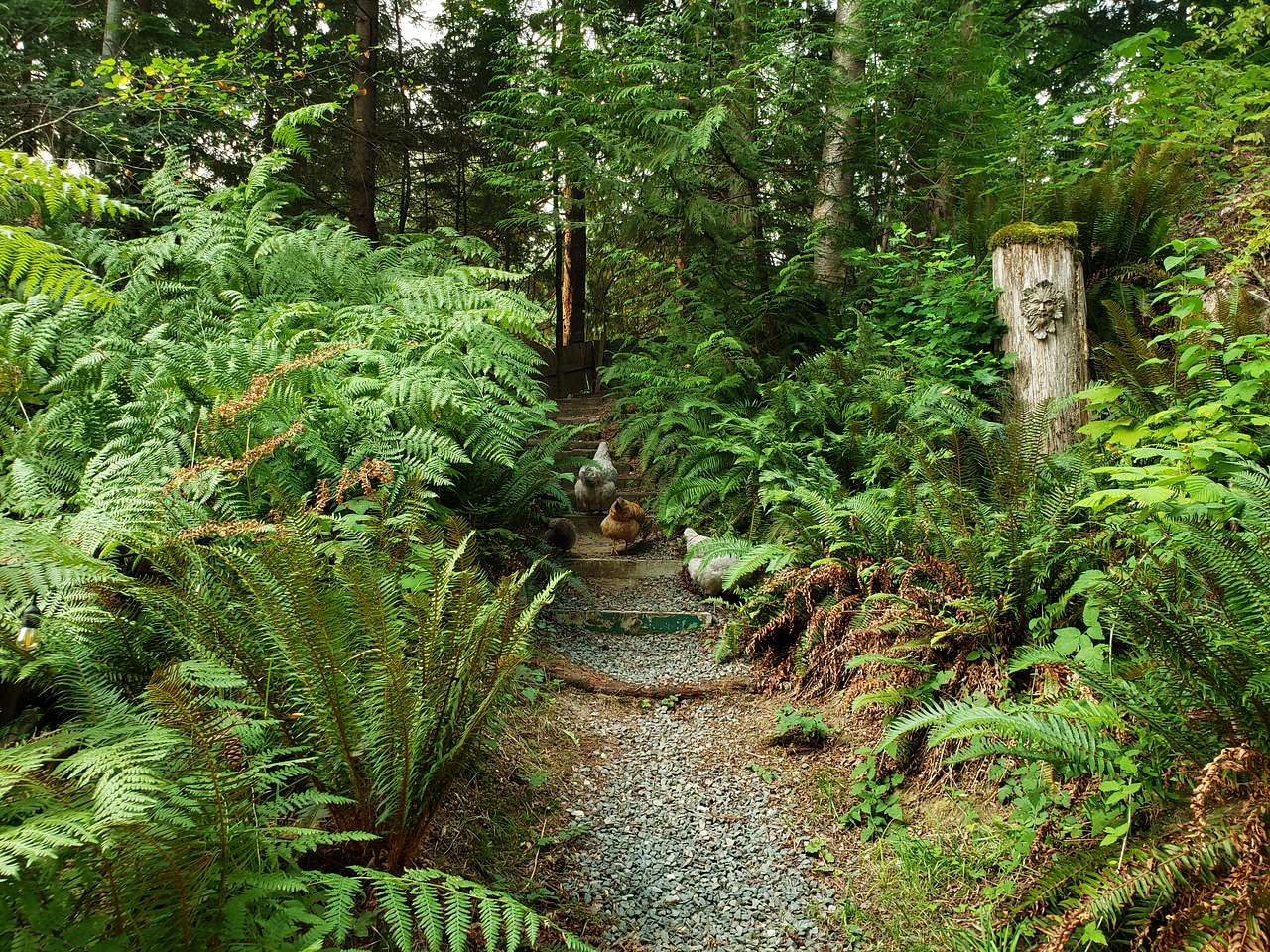 Bigfoot Hideaway on the Fraser