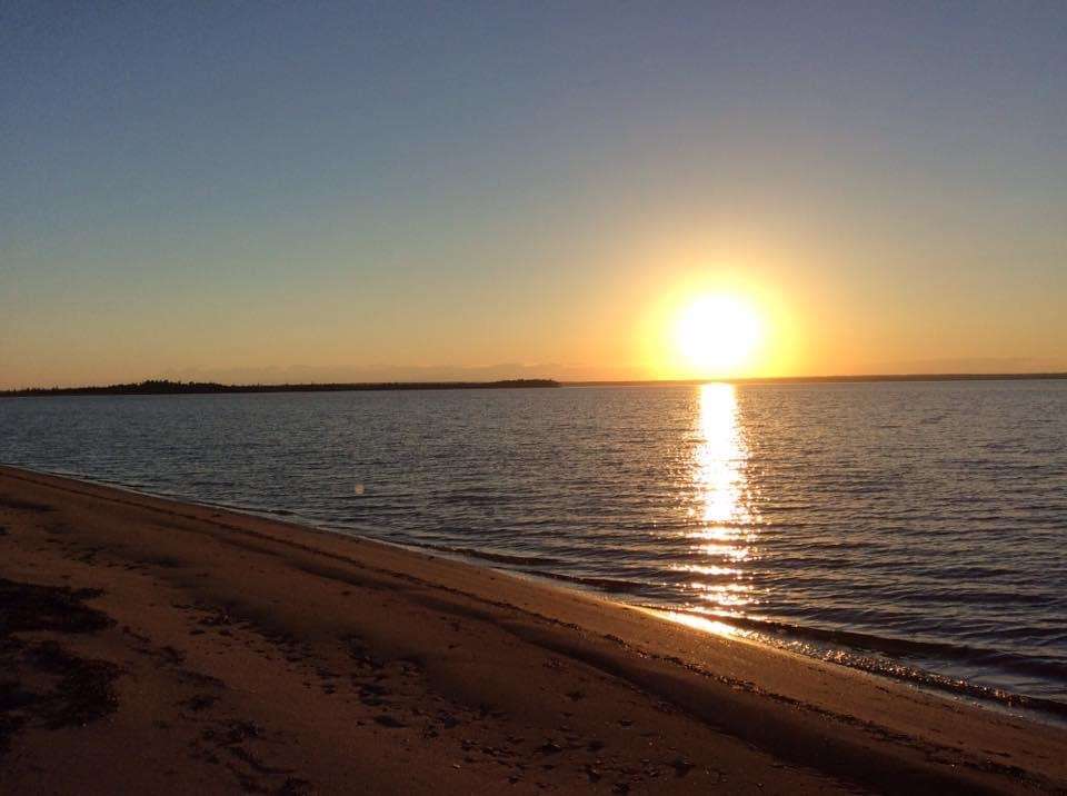 Tiny Beach Haven (Campers Dream)