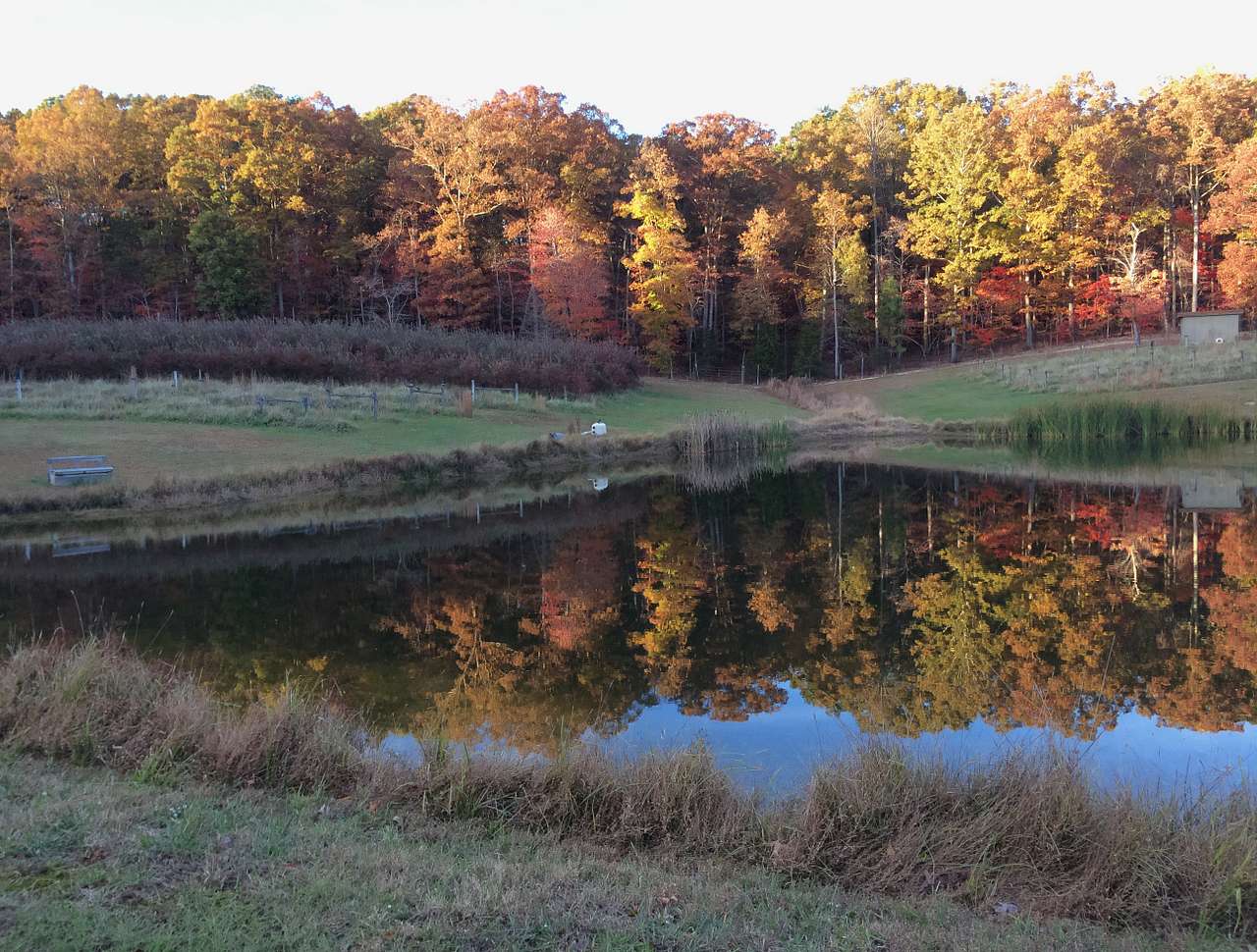 Private meadow and pond