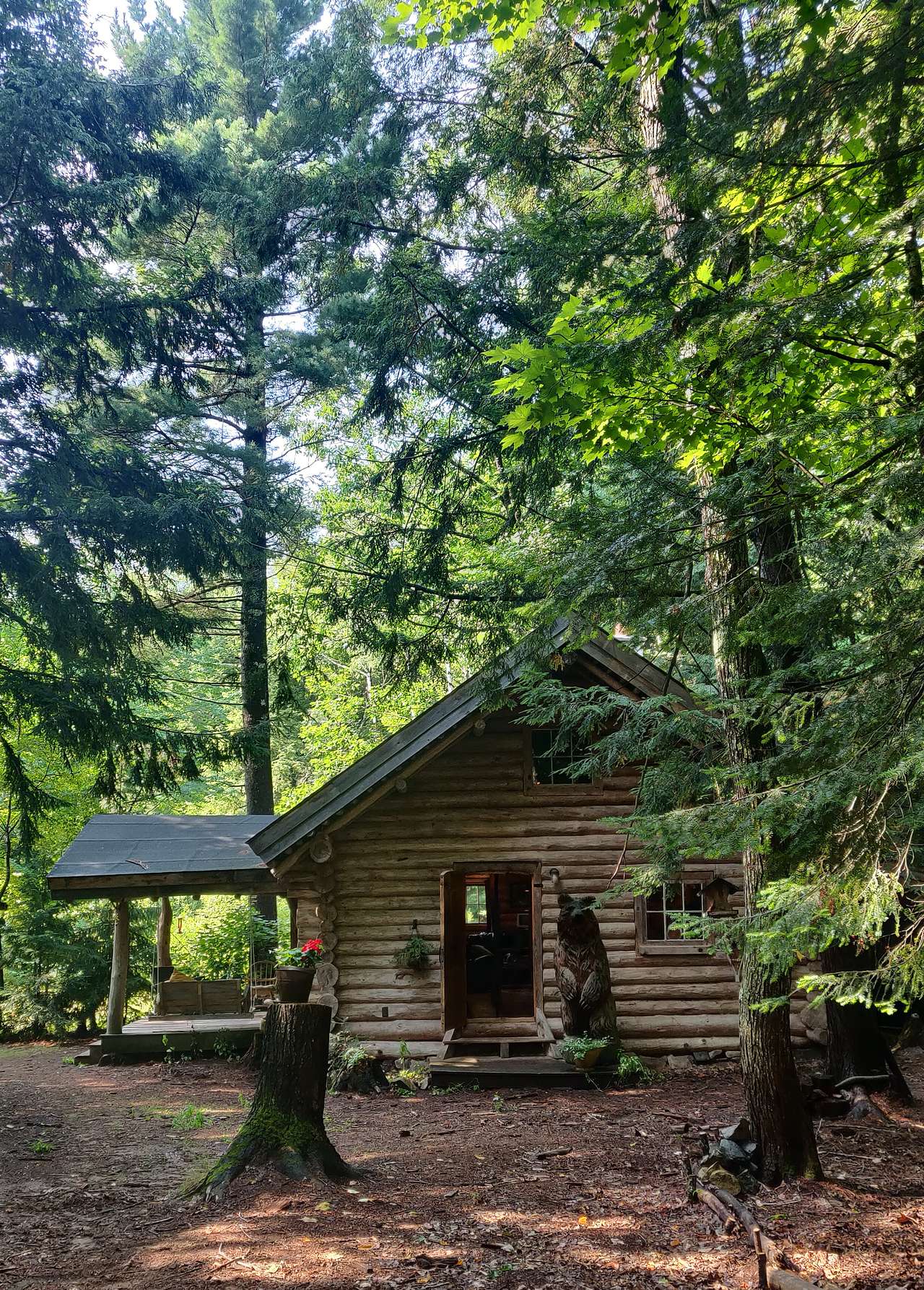 Bear Tree Homestead