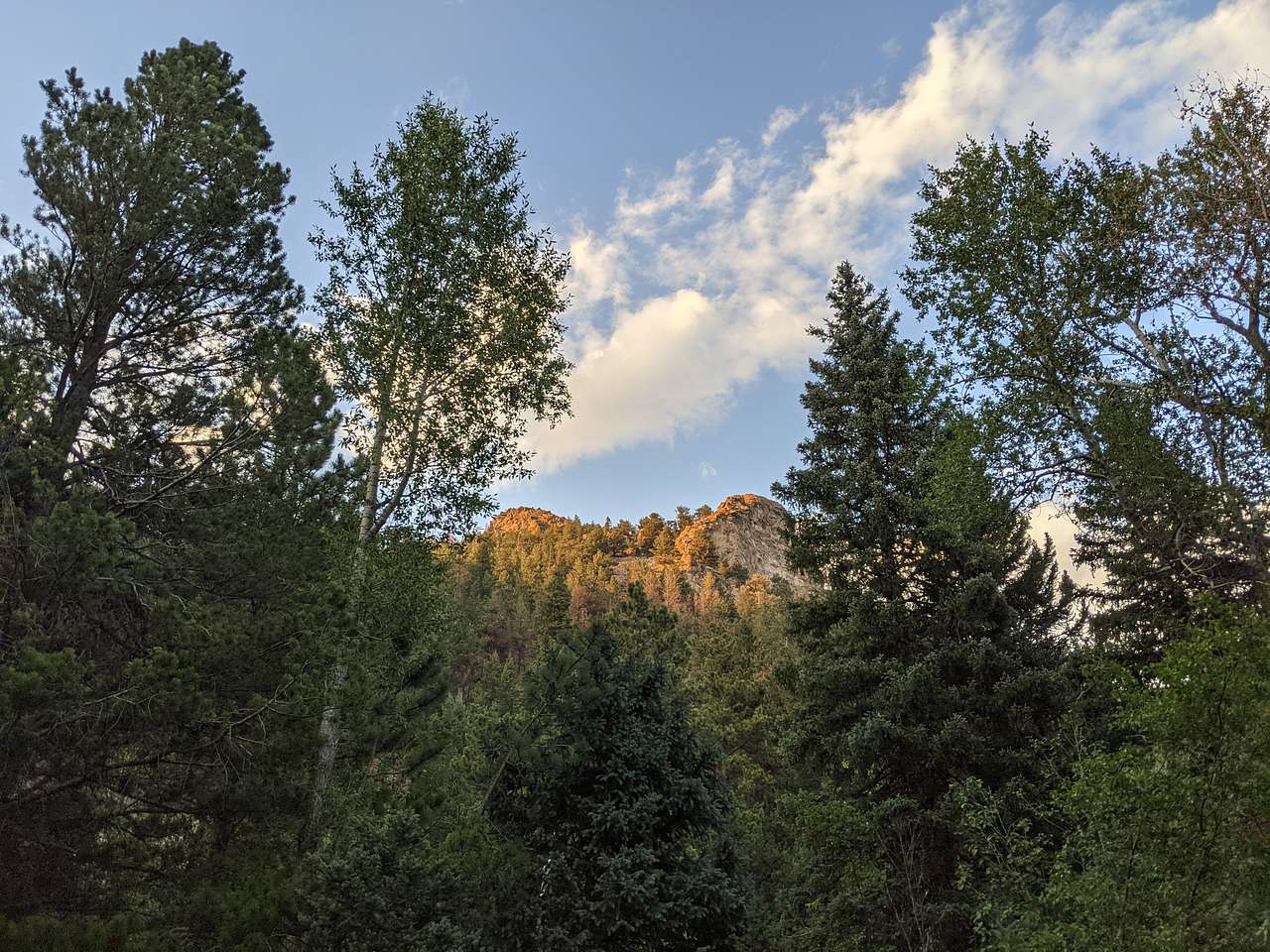 Creekside Paradise