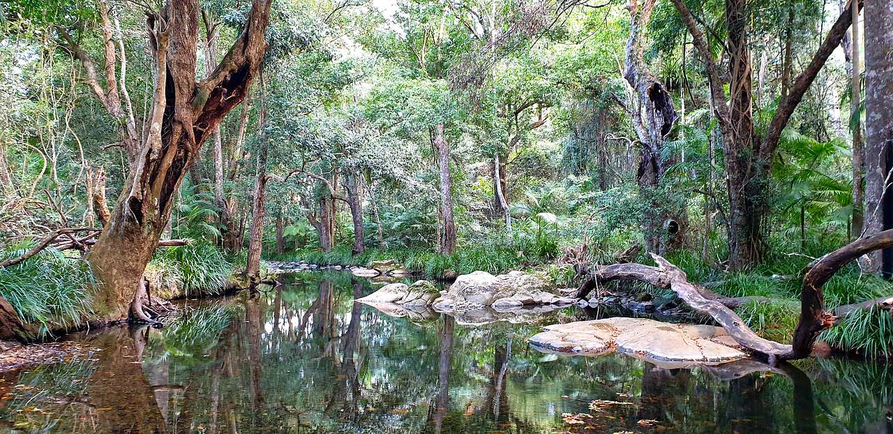 Private Rainforest Creek Camp