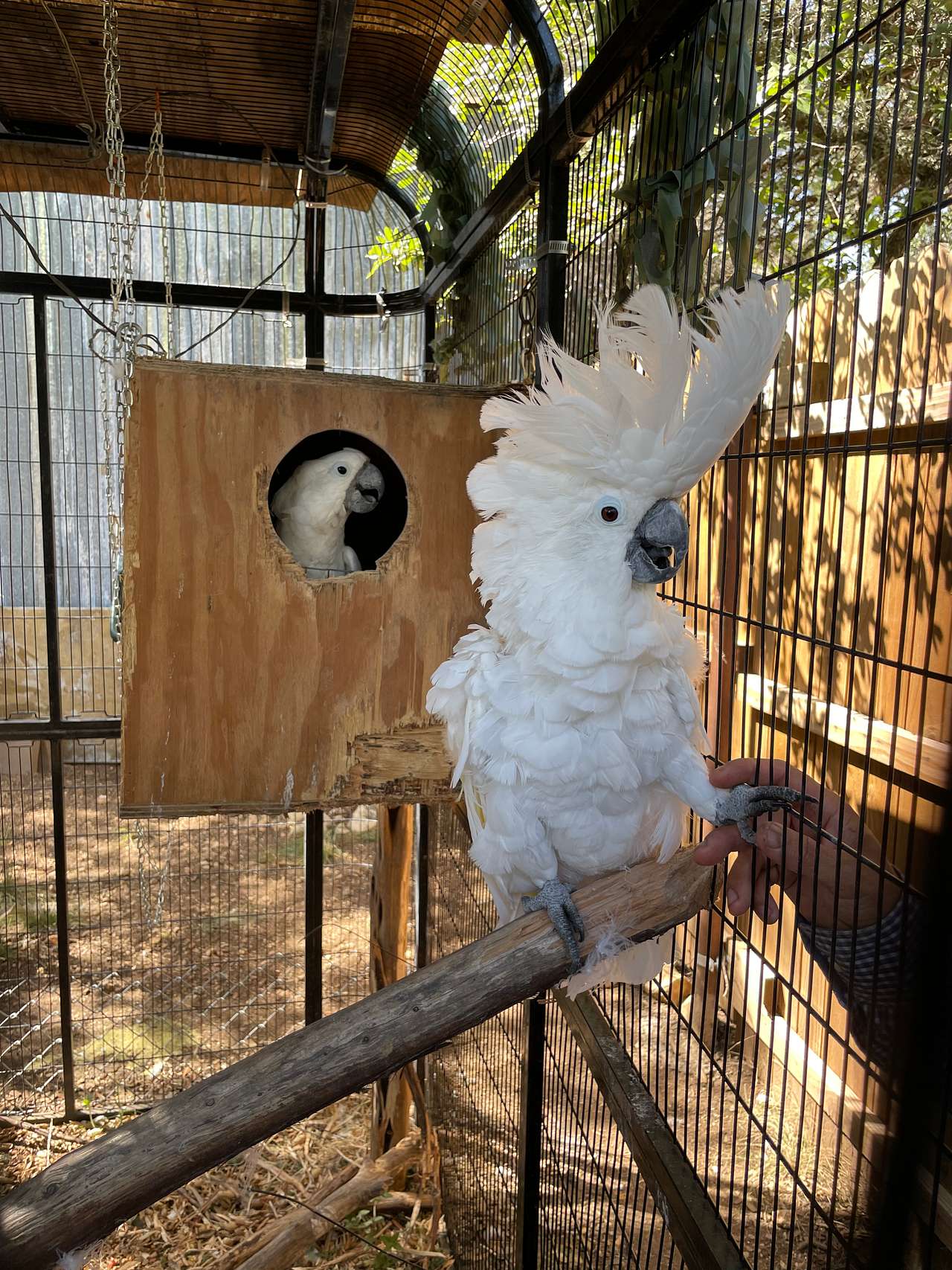 HomeAway Ranch & Wildlife Preserve