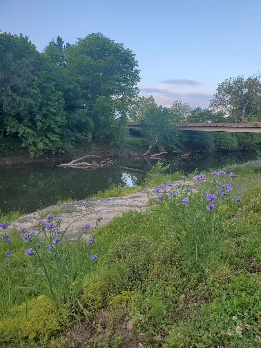 Cinco de Mayo Campground