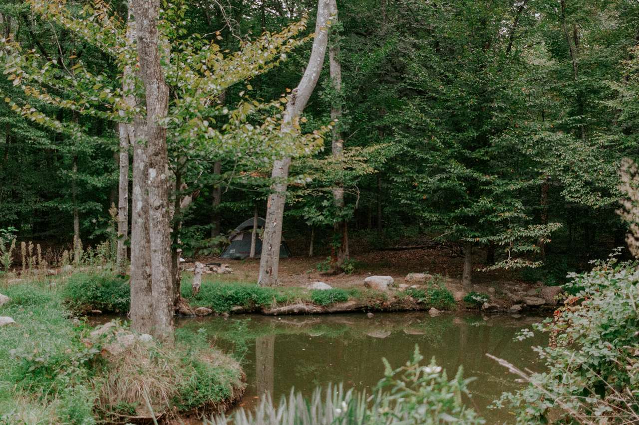 Arcadia Sanctuary