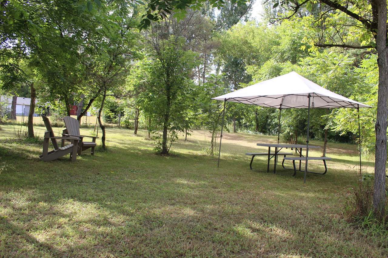 Some available tree shade in site 1