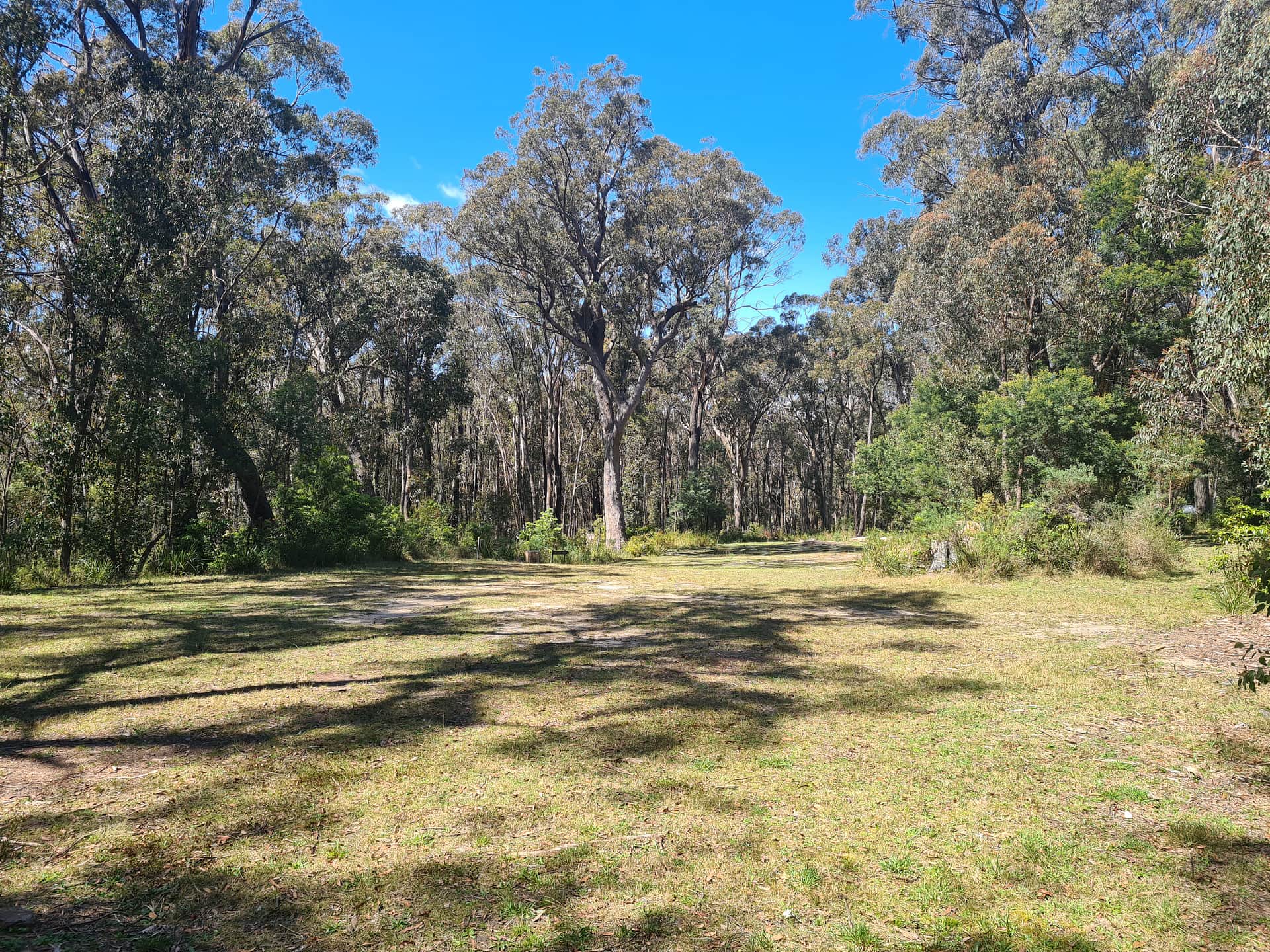 Campsite