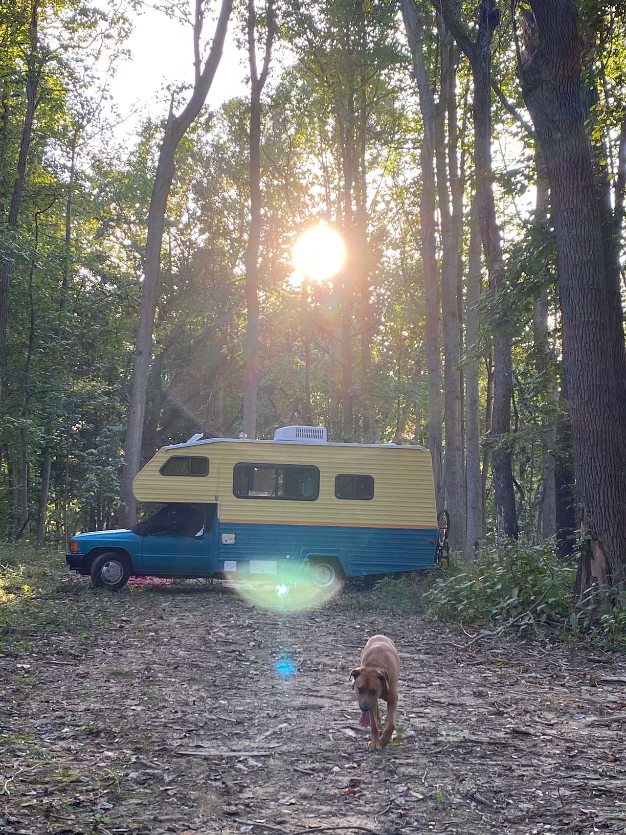 View rigs & rvs photos of Ramblewood: A Rustic Resort