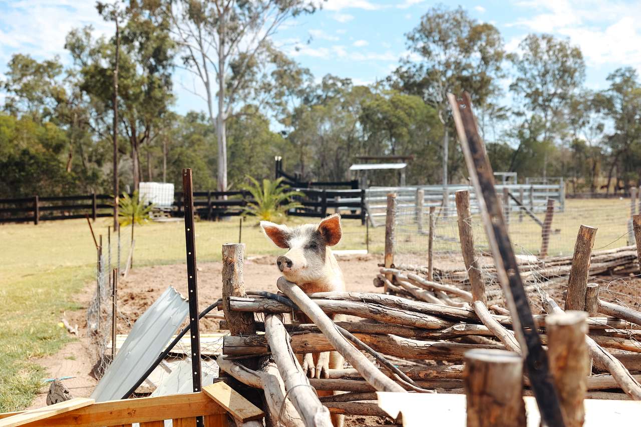 Photo 1 of 6 of The Farm