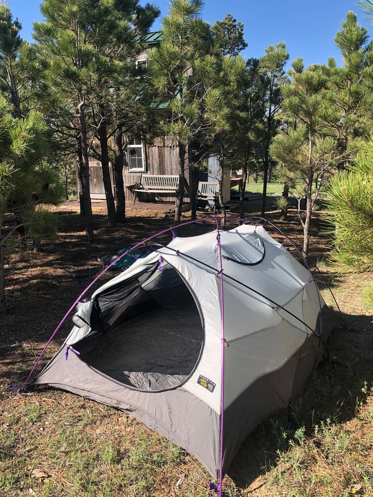 Nestled in the trees of a young forest and really close to parking and outhouse. 