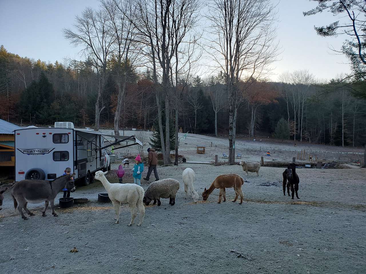 Willoughby Farm Animal Rescue