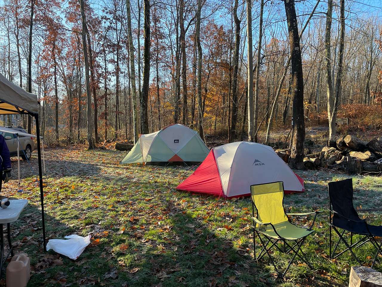 Fernwood on Alan F.’s Land