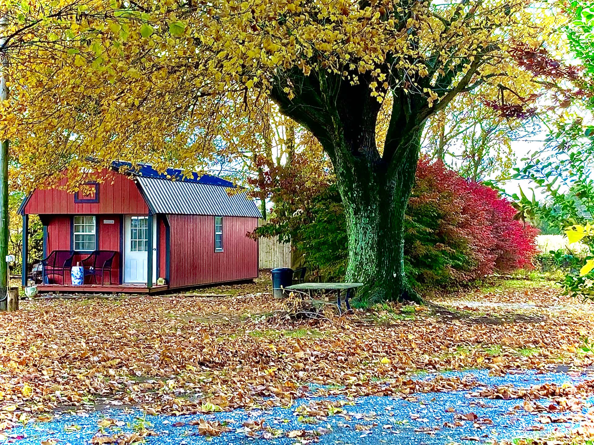 The Cozy Cottage in autumn.