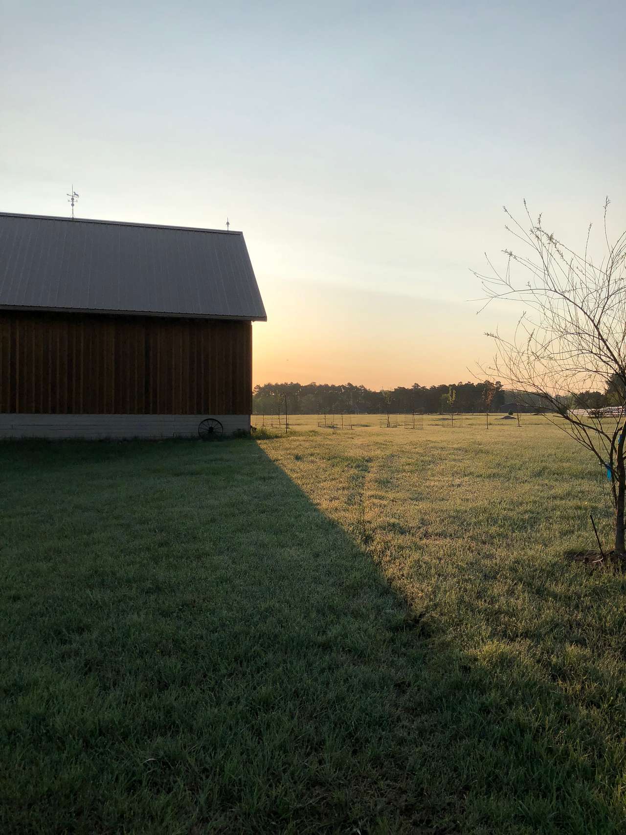 Debbie’s Meadow