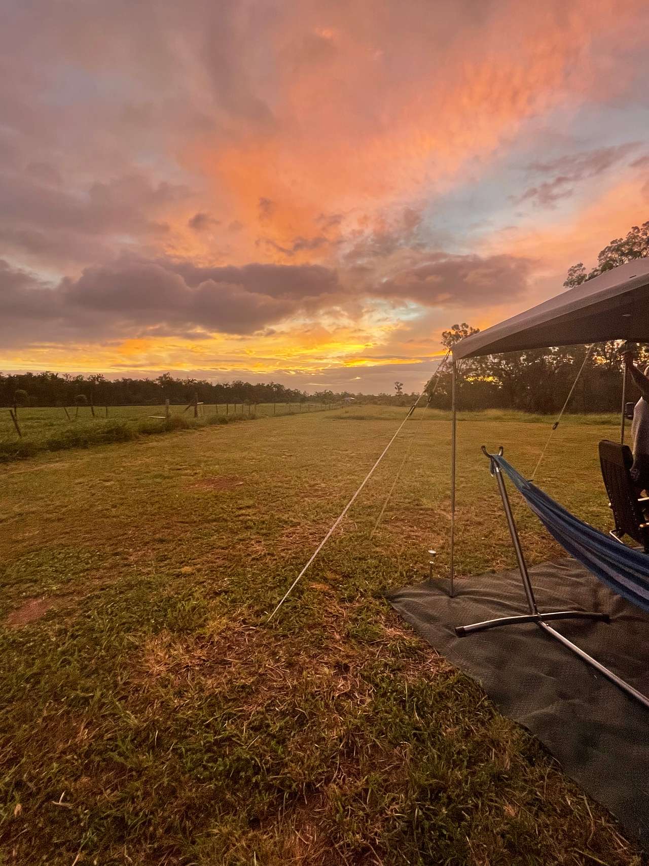 Sunset and kangaroos from our campsite