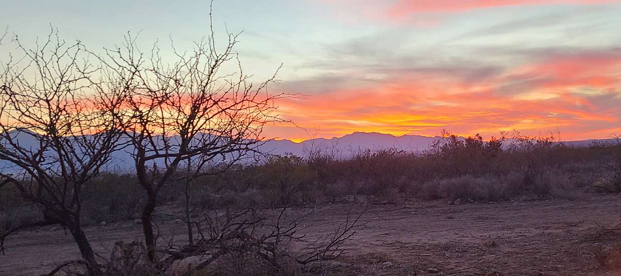 Sunset View
