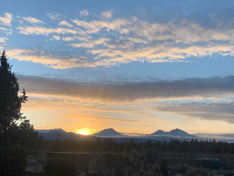 This is the actual view from the tiny house!