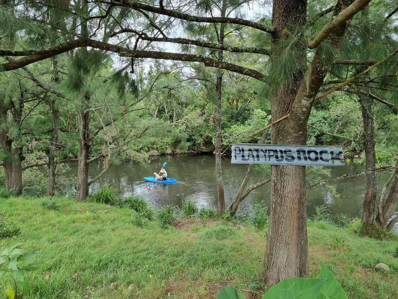 Platypus Pools