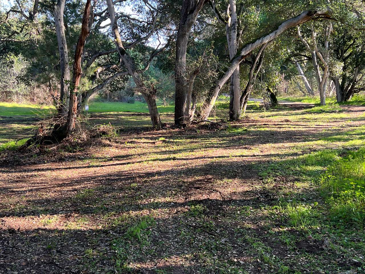 View of RV/Tent Site #2. We have the picnic table and are adding it this week along with a fire pit/ring with cooking grate. You can choose how you want to park your RV or place your tent. It’s a pretty big space!