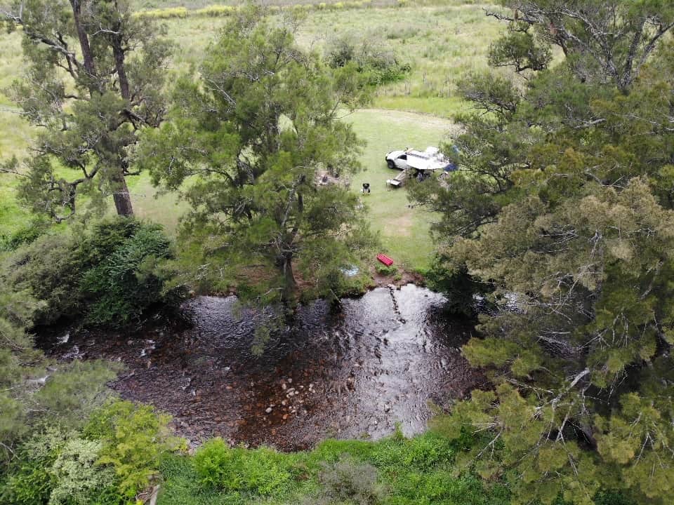 Omadale Brook, Barrington Tops
