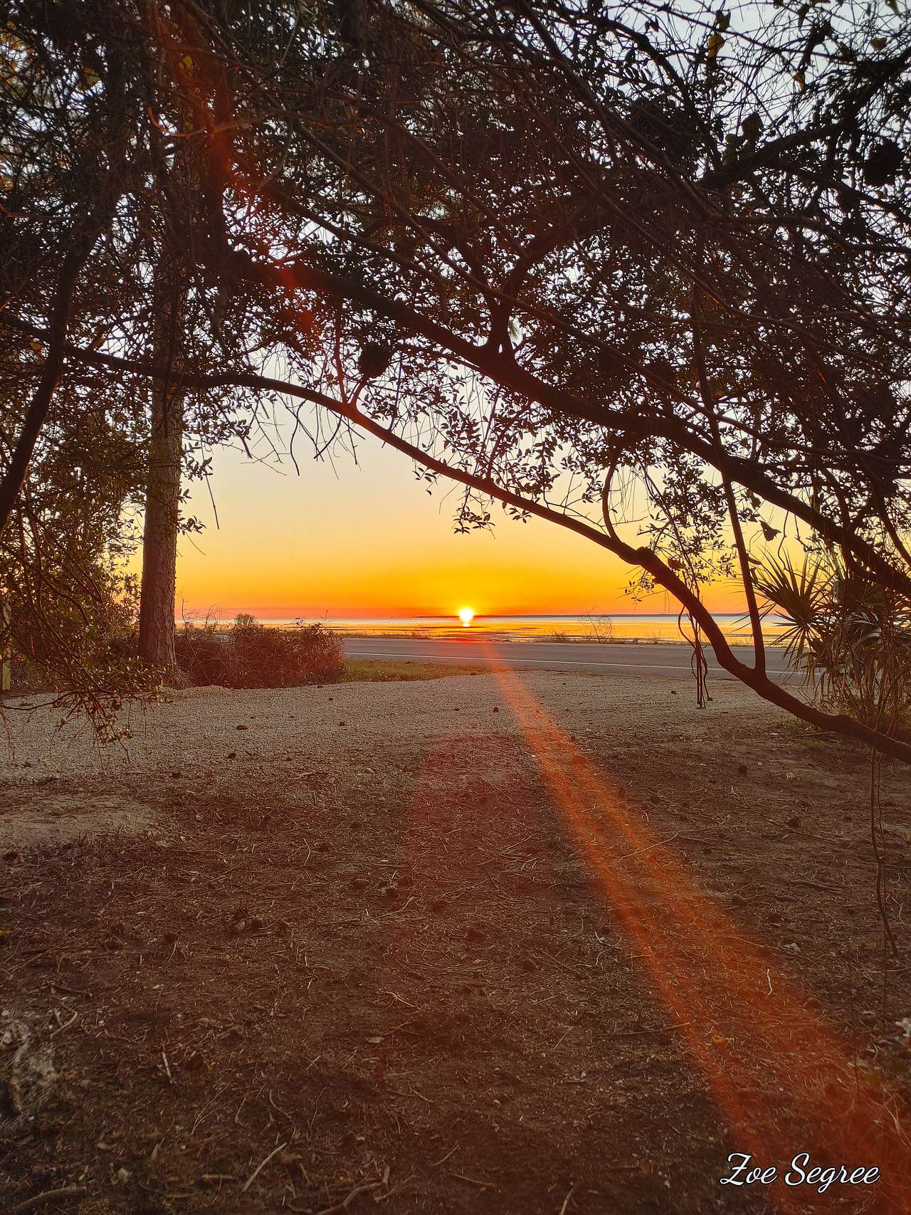 Sunrise view from Sunrise Bench