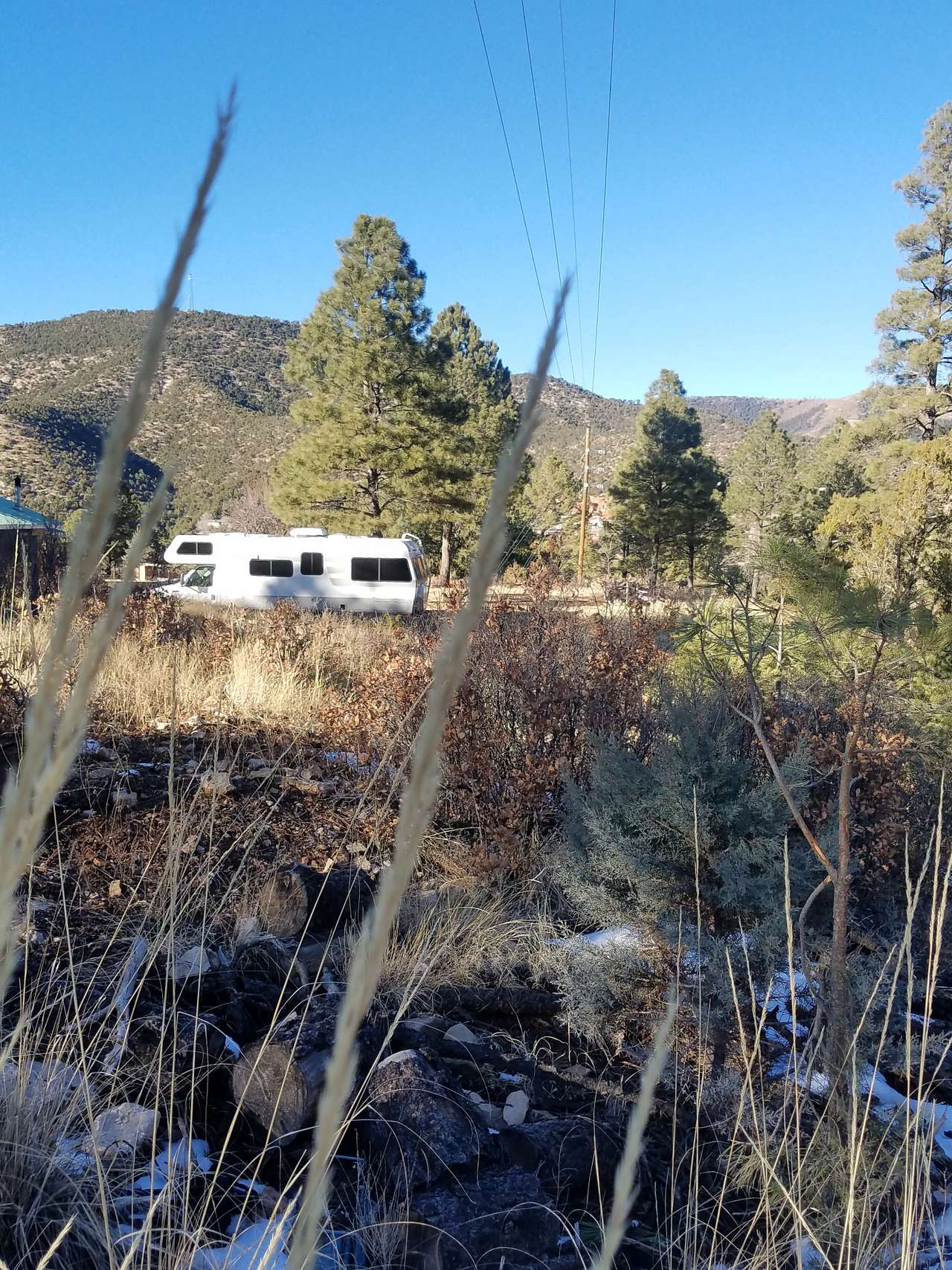 Campsite from path in woods