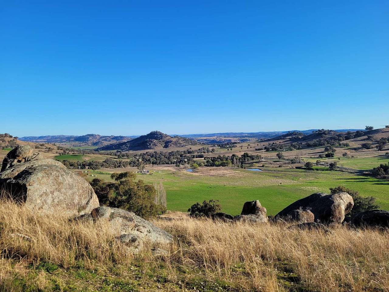 La Paloma Farm