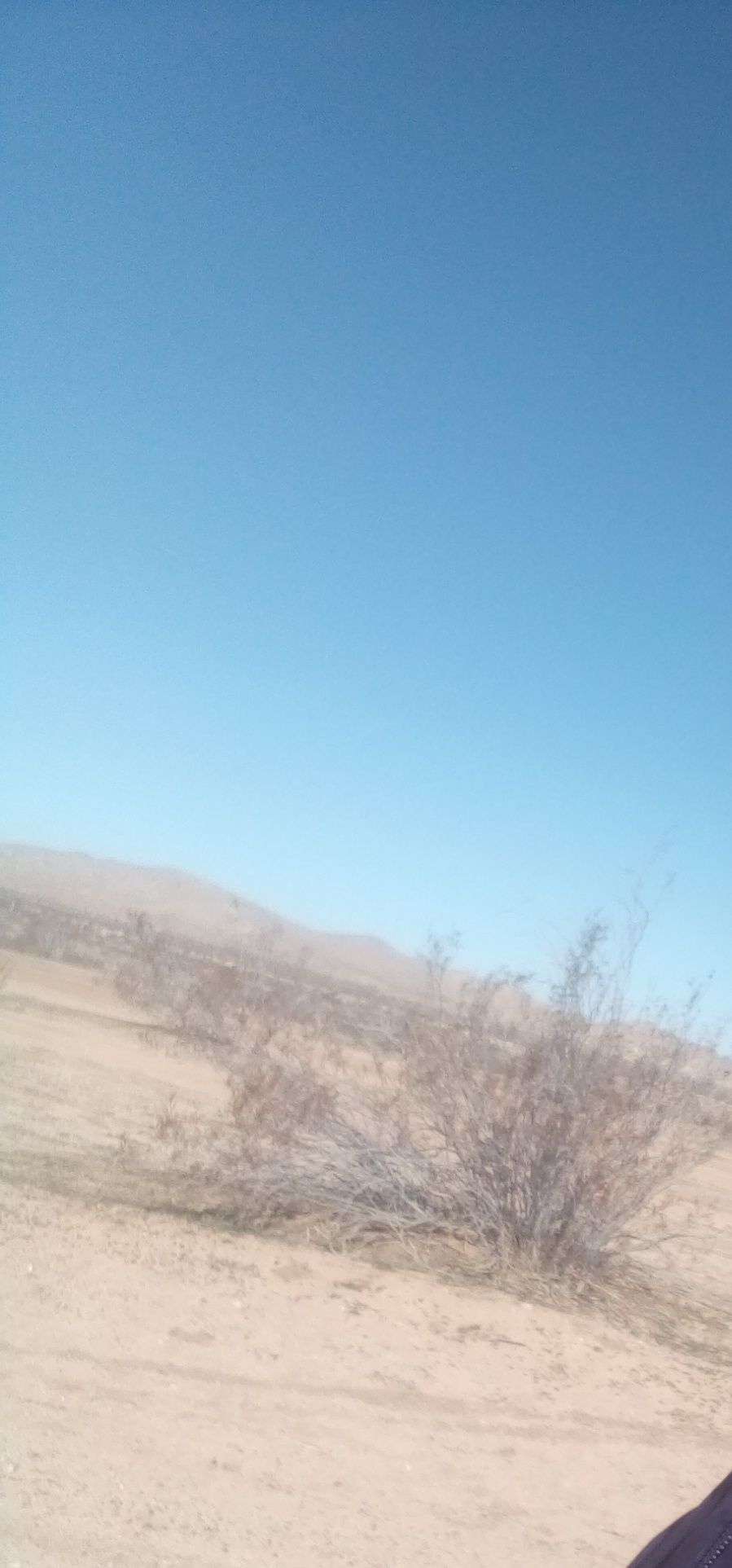 OHV Roadside Paradise in Cal City