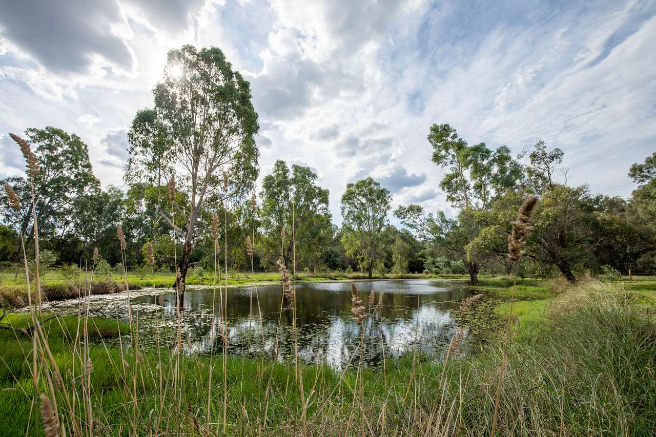 Take a stroll & feed the ducks at the dam.