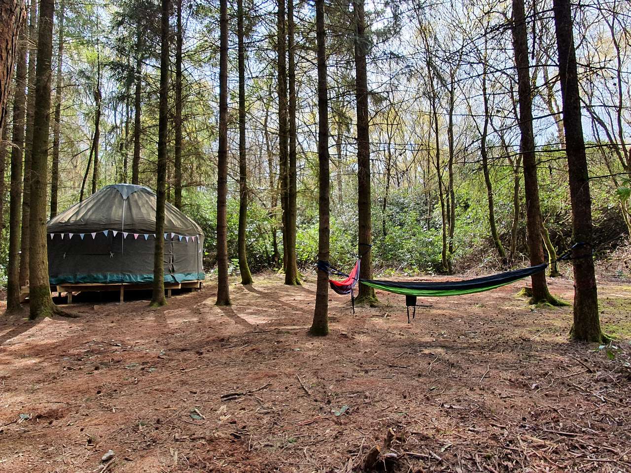 Southover Woods Wild Camping