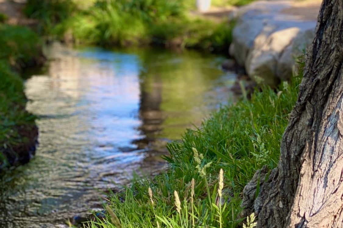 Goodale Creek