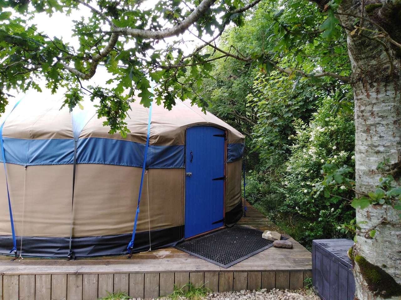 Scorrodale yurt