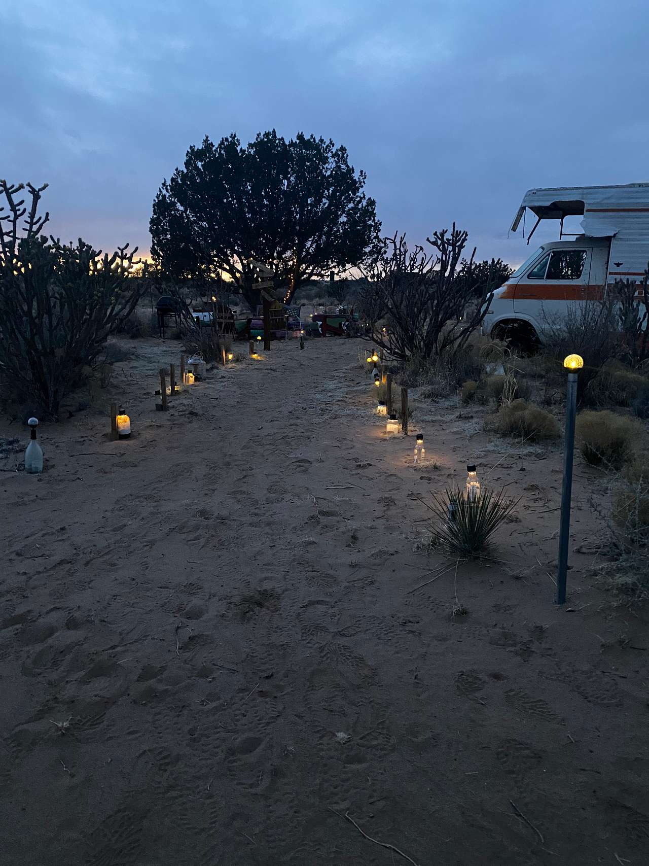 Solar lights at night. Magical!