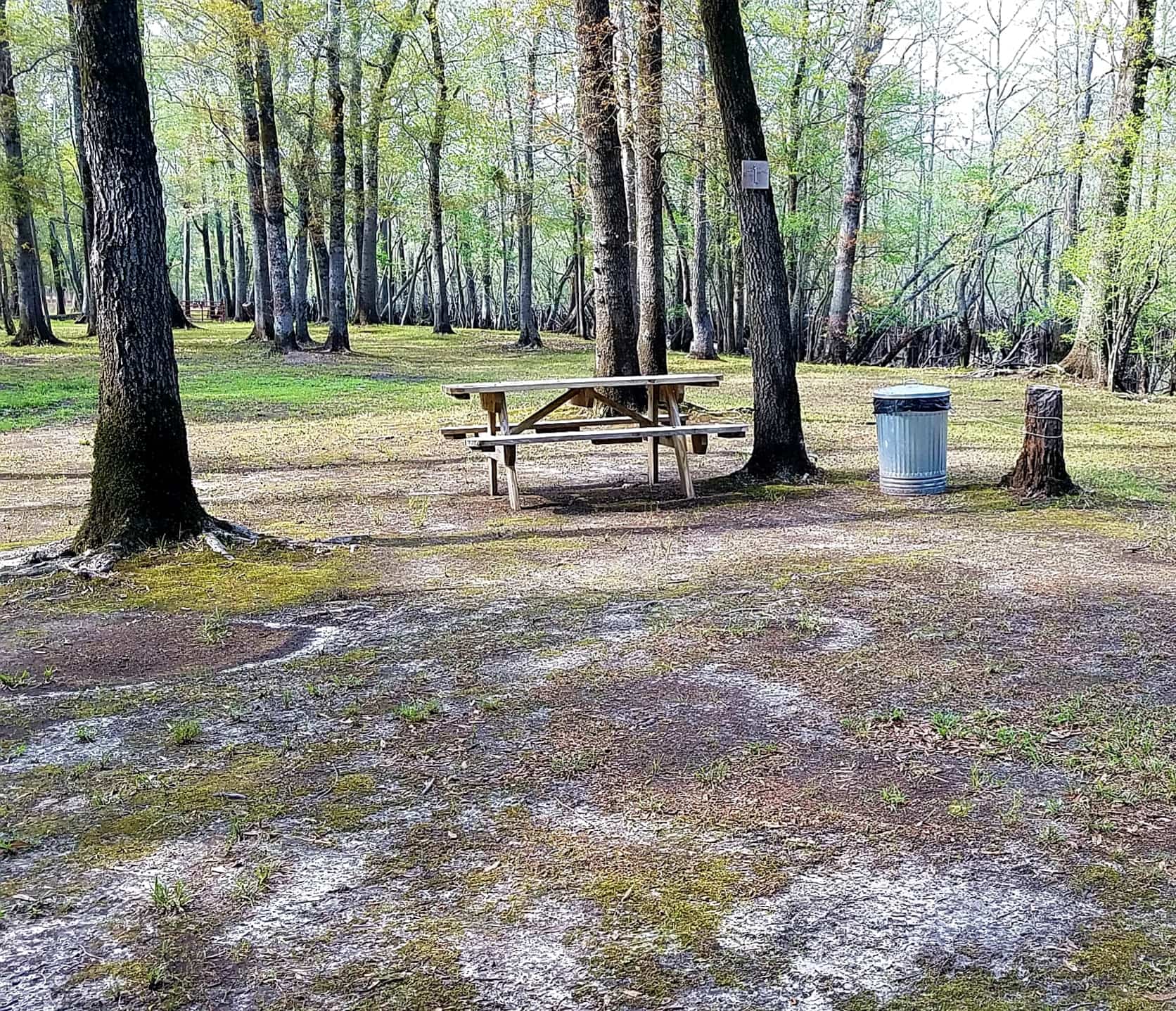 Black River Camping Ventures