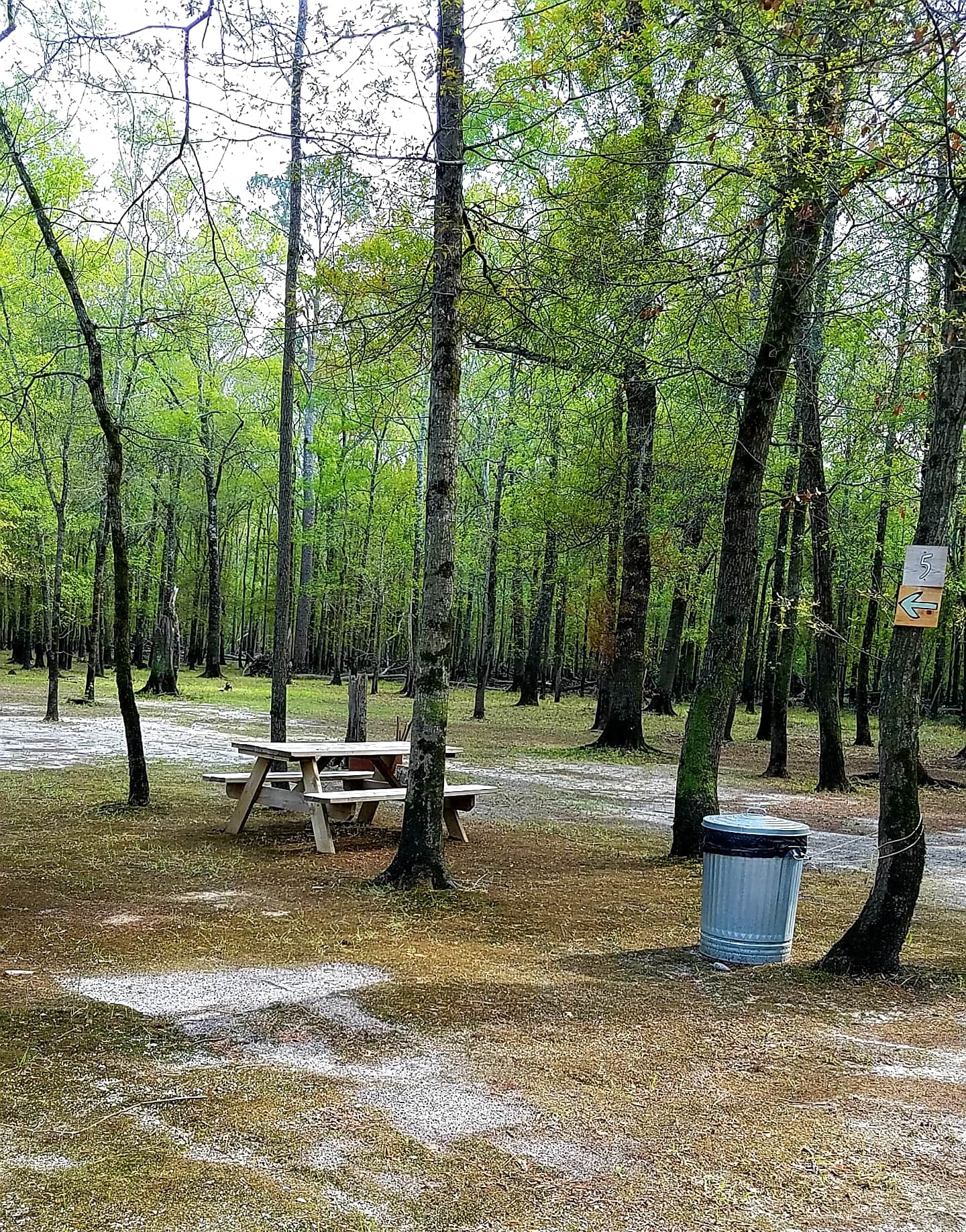 Black River Camping Ventures