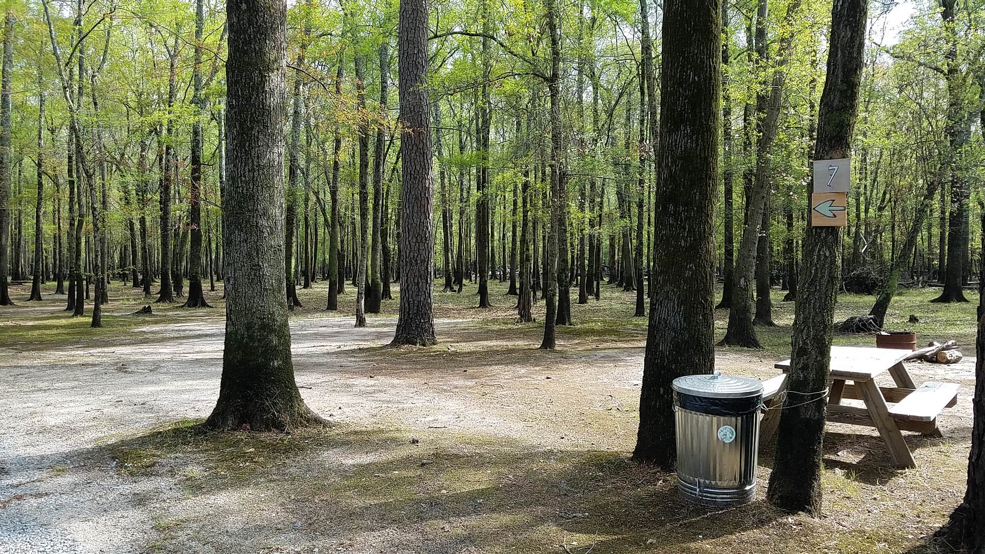 Black River Camping Ventures