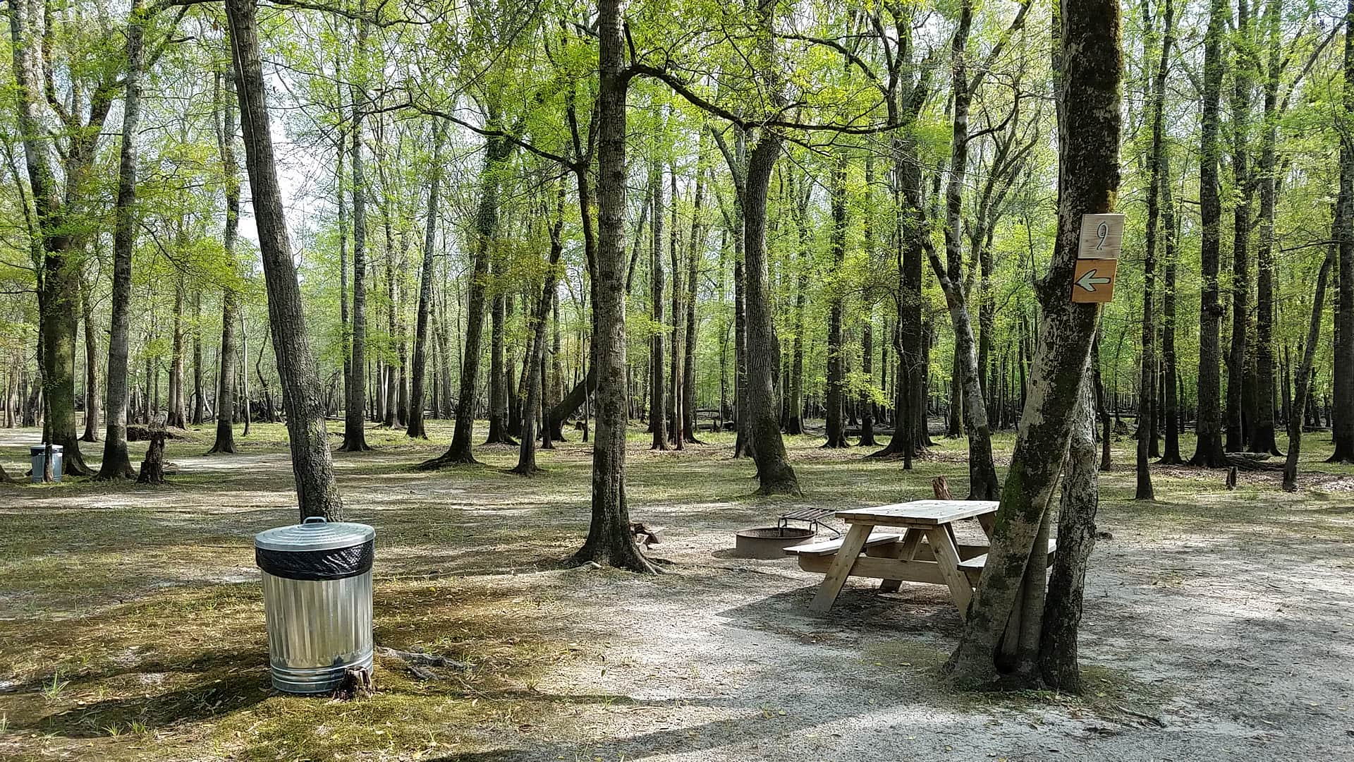 Black River Camping Ventures