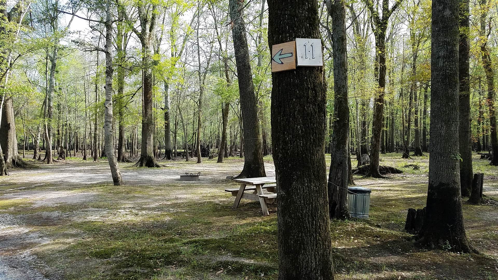 Black River Camping Ventures