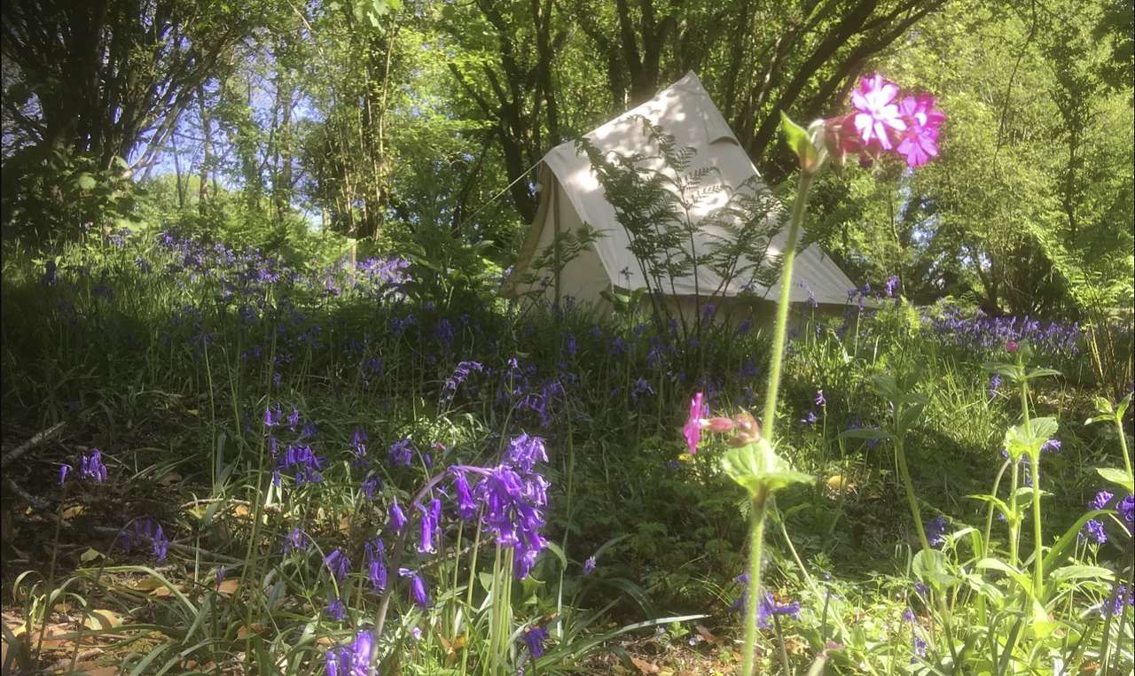 Cilrath Wood Camping