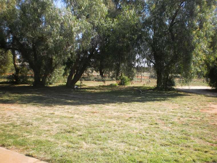 Naturist Retreat Camp