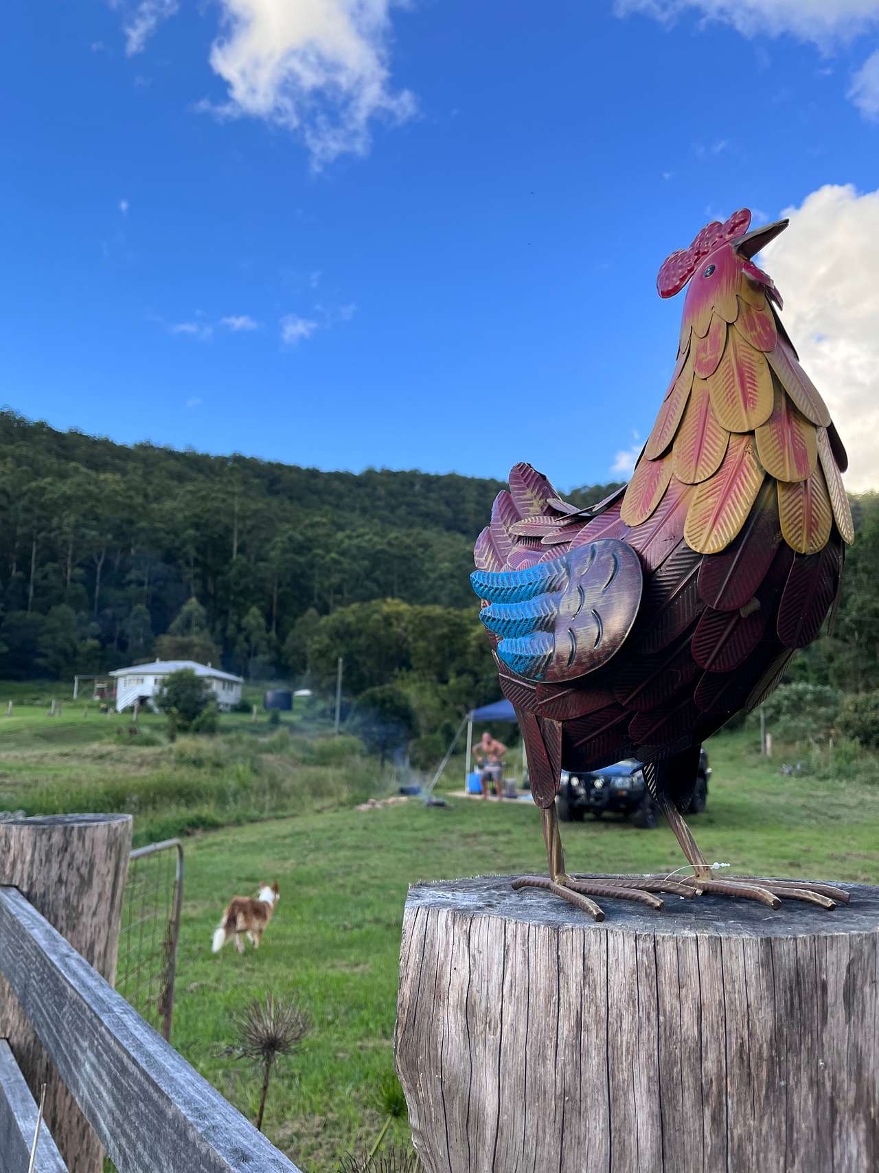 Max's Farm