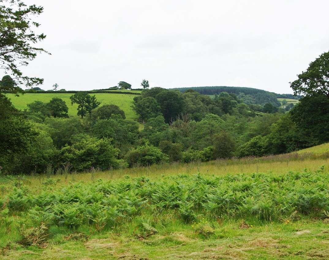Llansawel Agored