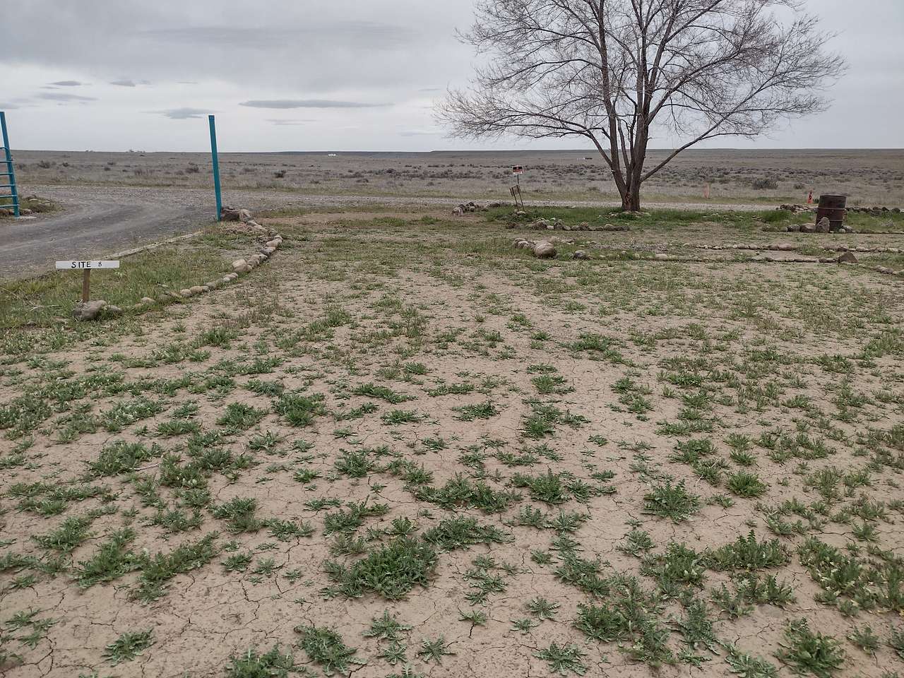 Picture of the site