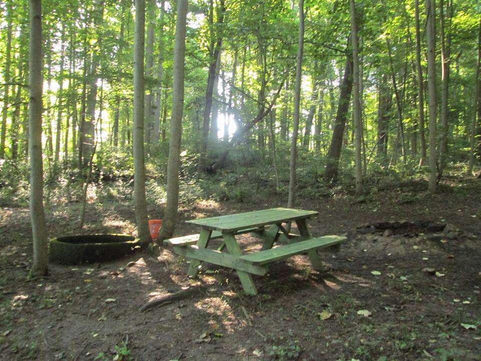 Scenic Turtle Ridge