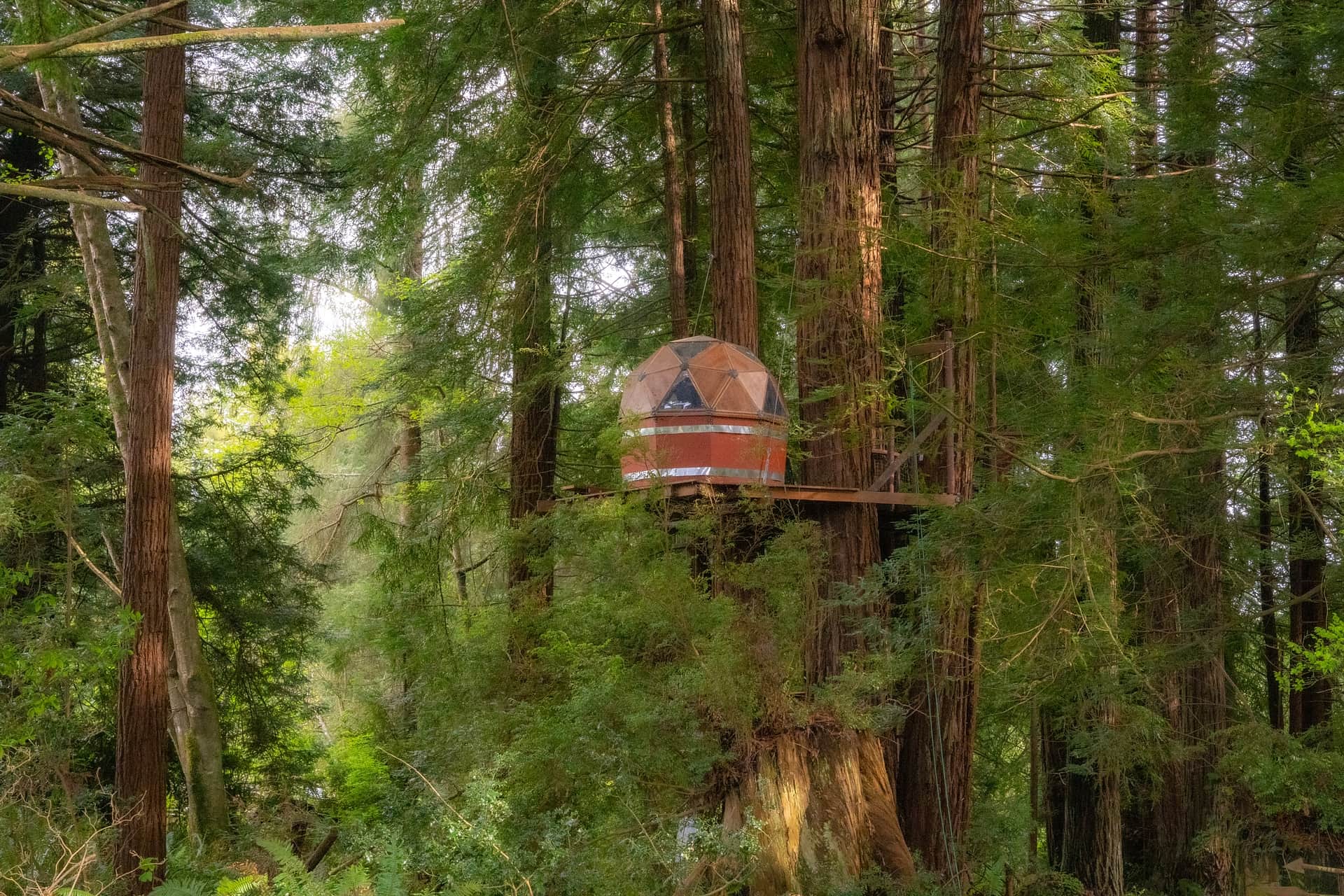 Beautifully perched high in the redwoods, this is the view on the way in.