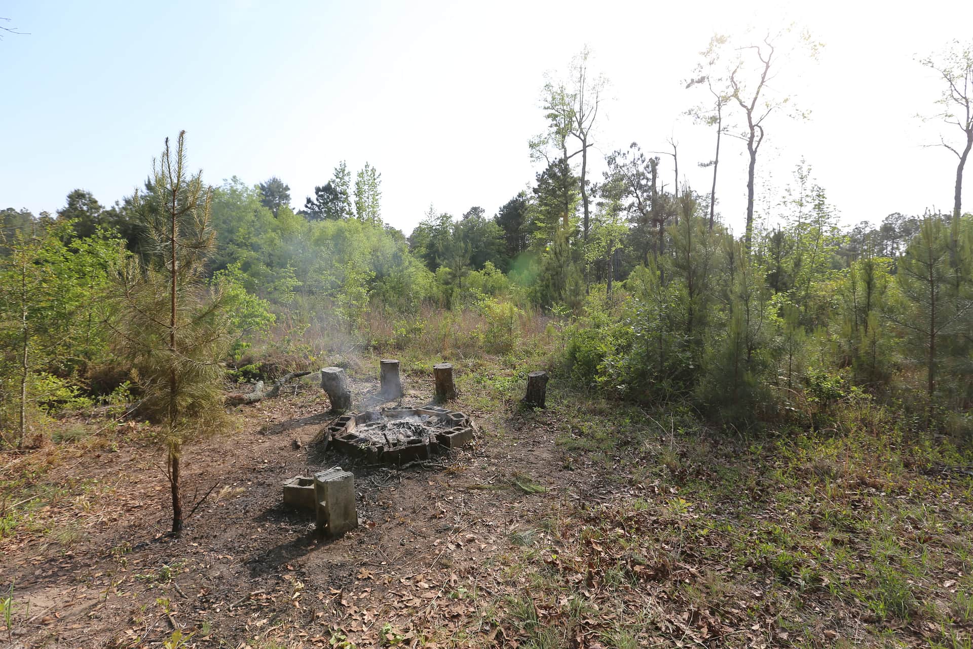 Entrance 2 Firepit