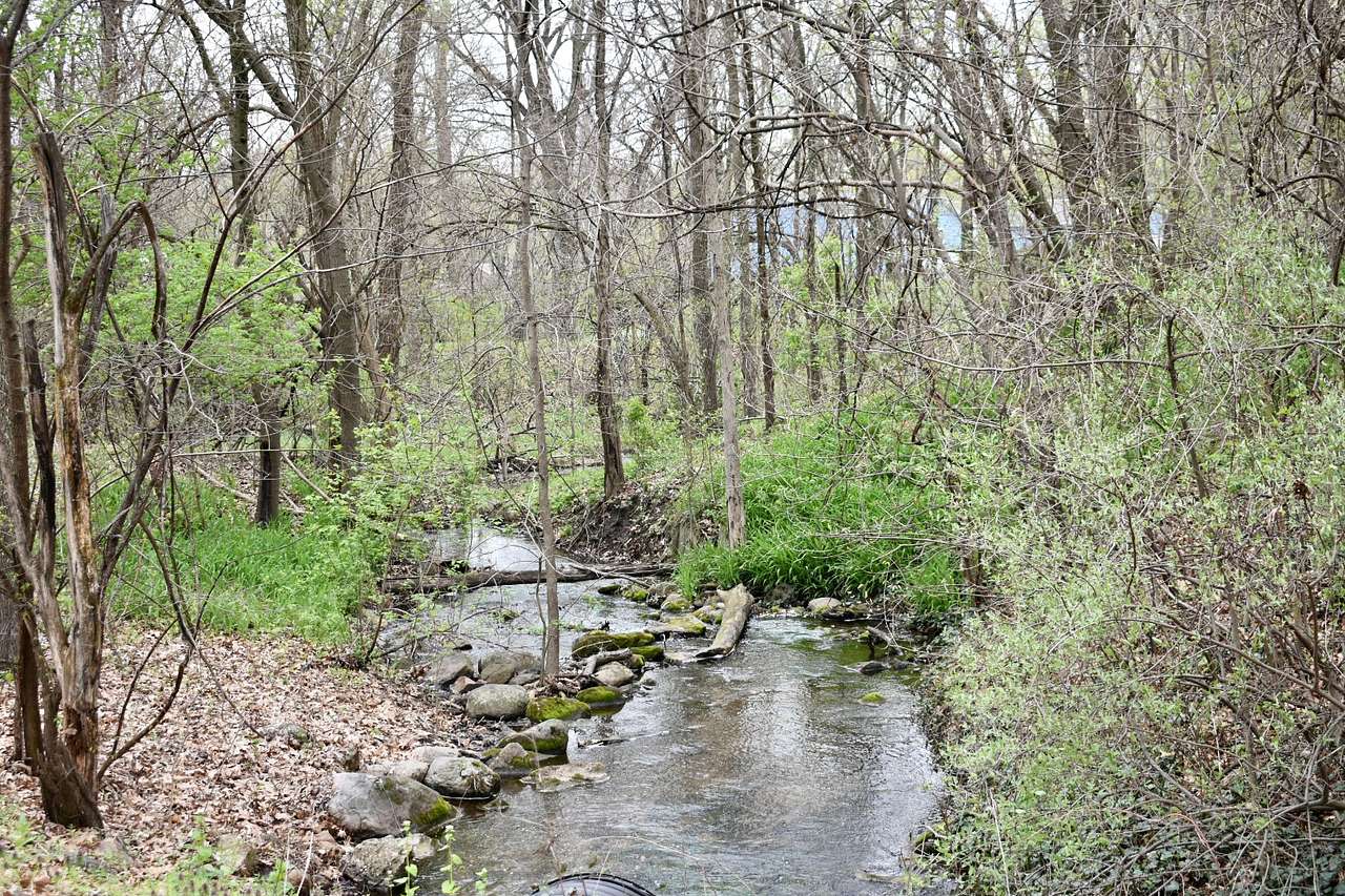 Creek runs to the river on the edge of Lochloosa. Creekside tents sites available complete with soothing sounds of the babbling brook!