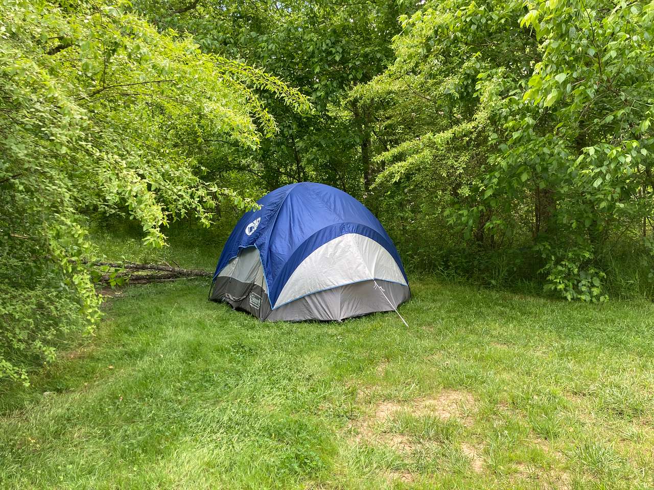 The Oasis at Harmon Creek Farms
