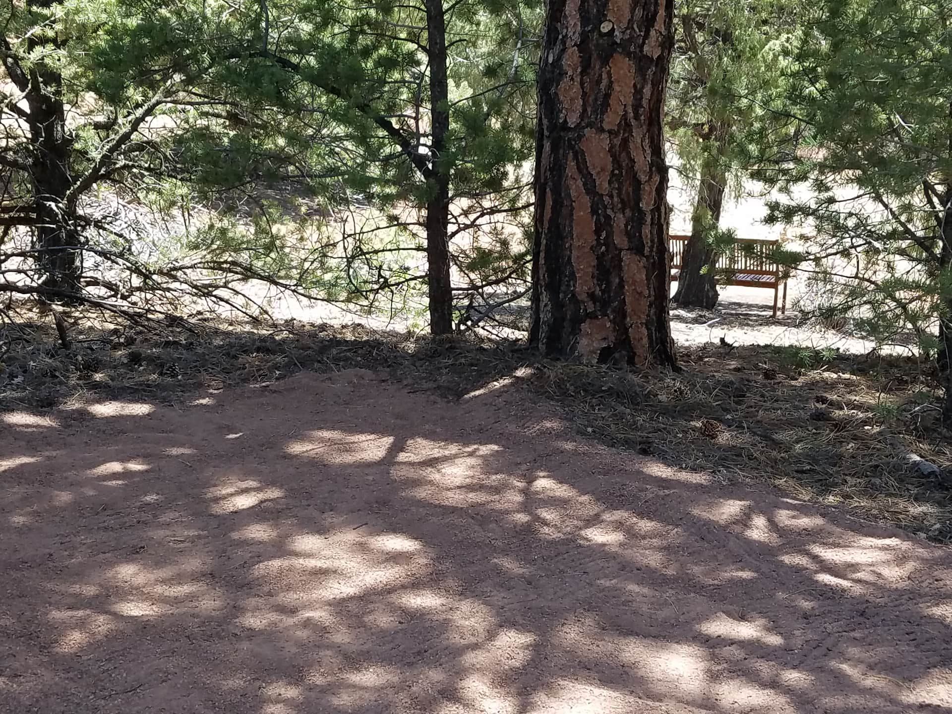 Campsite #1